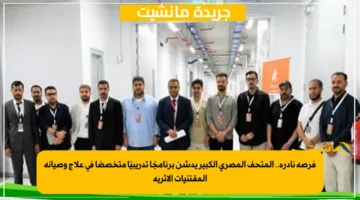 فرصة نادرة.. المتحف المصري الكبير يدشن برنامجًا تدريبيًا متخصصًا في علاج وصيانة المقتنيات الأثرية 1